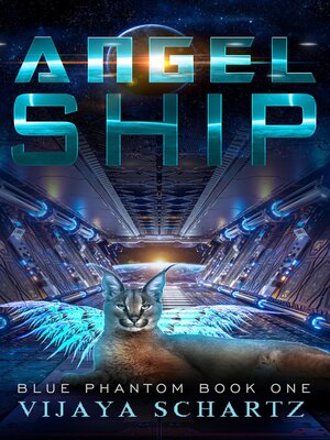 cover image of Angel Ship